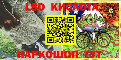 Альфа ПВП Будённовск