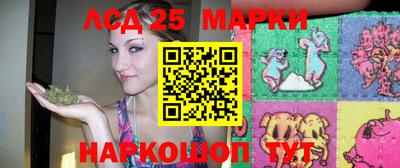 Альфа ПВП Будённовск