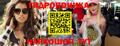 Альфа ПВП Будённовск